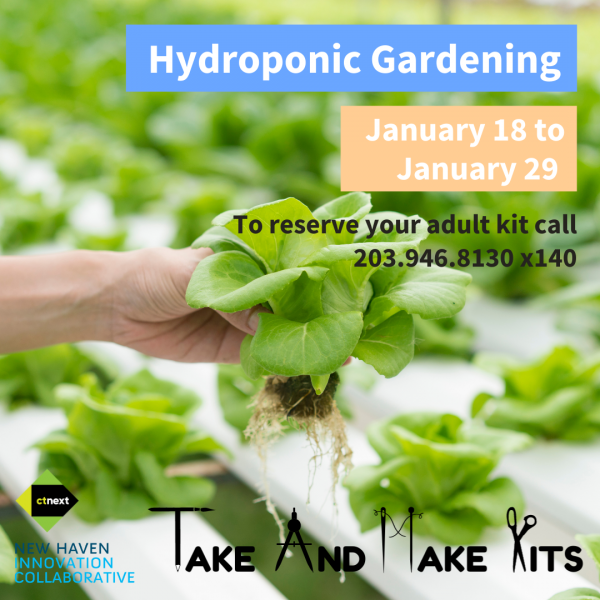 Image for event: Hydroponic Gardening
